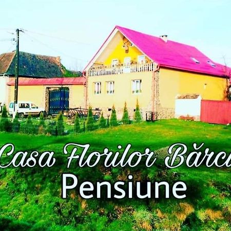 شقة Casa Florilor Barcut المظهر الخارجي الصورة