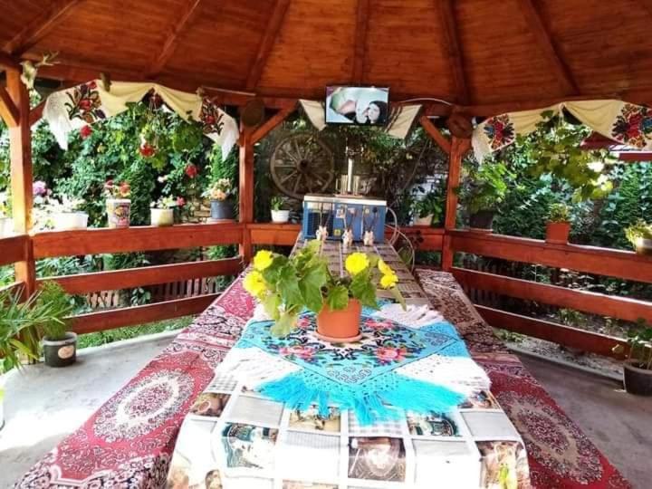 شقة Casa Florilor Barcut المظهر الخارجي الصورة