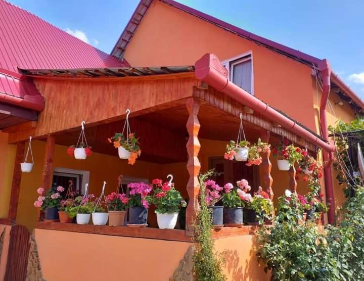 شقة Casa Florilor Barcut المظهر الخارجي الصورة