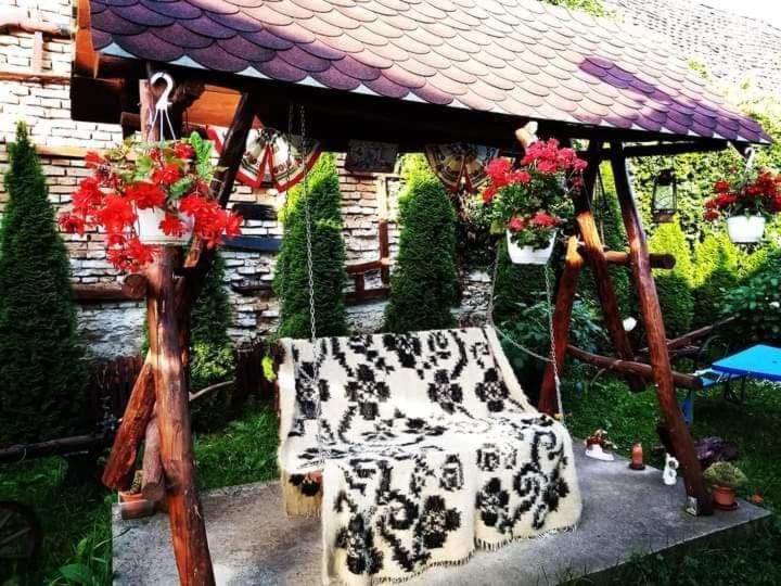 شقة Casa Florilor Barcut المظهر الخارجي الصورة