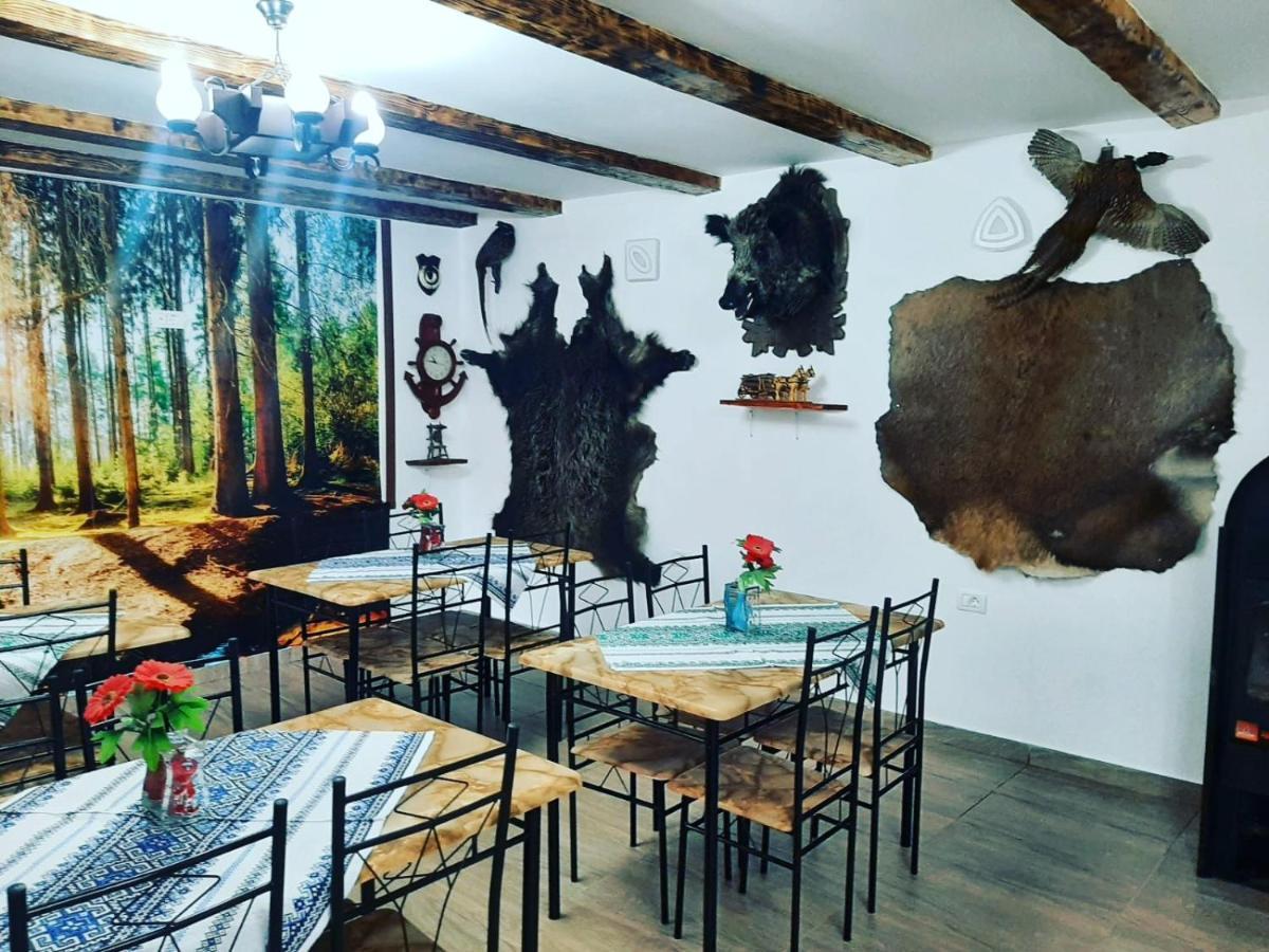 شقة Casa Florilor Barcut المظهر الخارجي الصورة