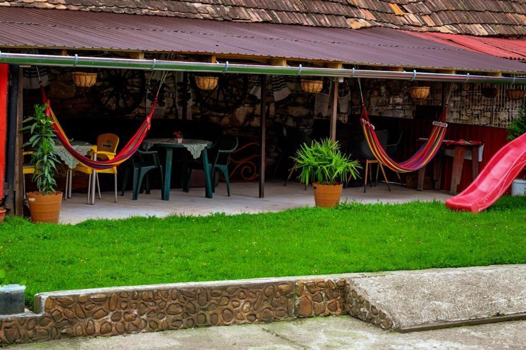 شقة Casa Florilor Barcut المظهر الخارجي الصورة