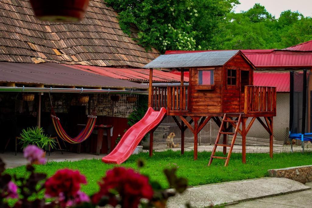 شقة Casa Florilor Barcut المظهر الخارجي الصورة