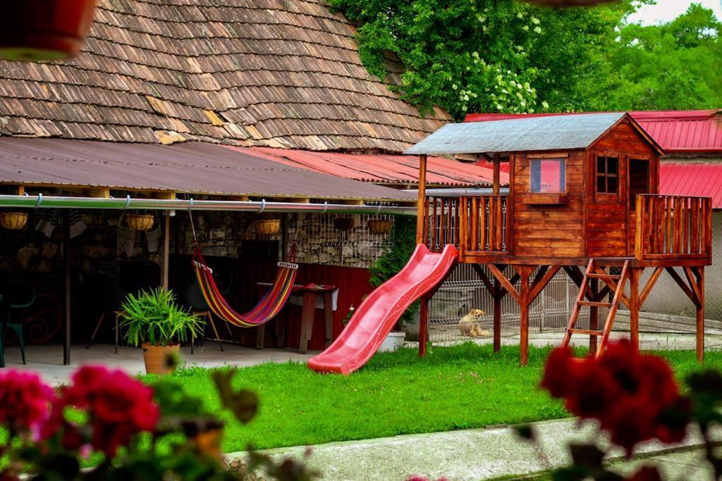 شقة Casa Florilor Barcut المظهر الخارجي الصورة