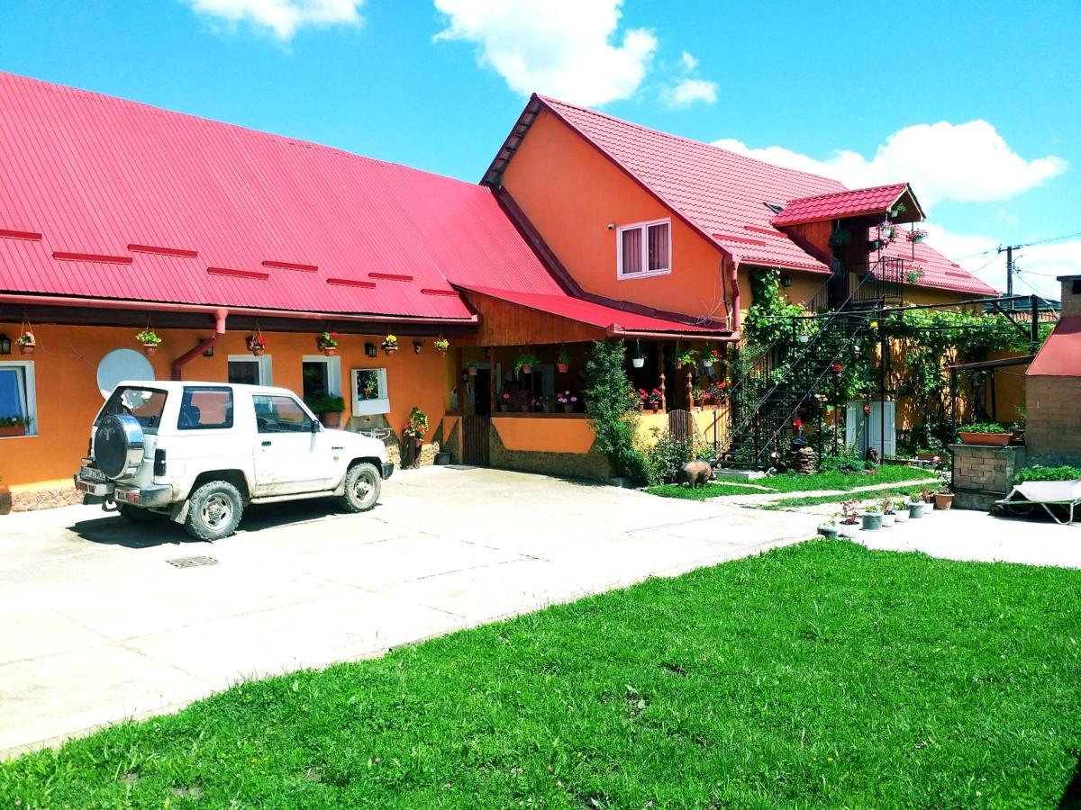 شقة Casa Florilor Barcut المظهر الخارجي الصورة