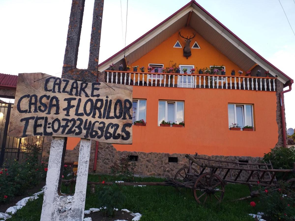 شقة Casa Florilor Barcut المظهر الخارجي الصورة