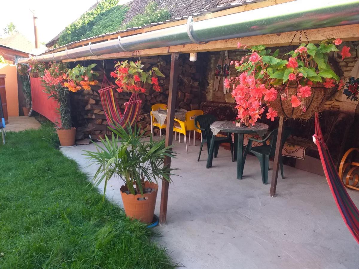شقة Casa Florilor Barcut المظهر الخارجي الصورة