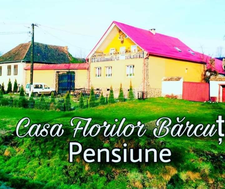 شقة Casa Florilor Barcut المظهر الخارجي الصورة