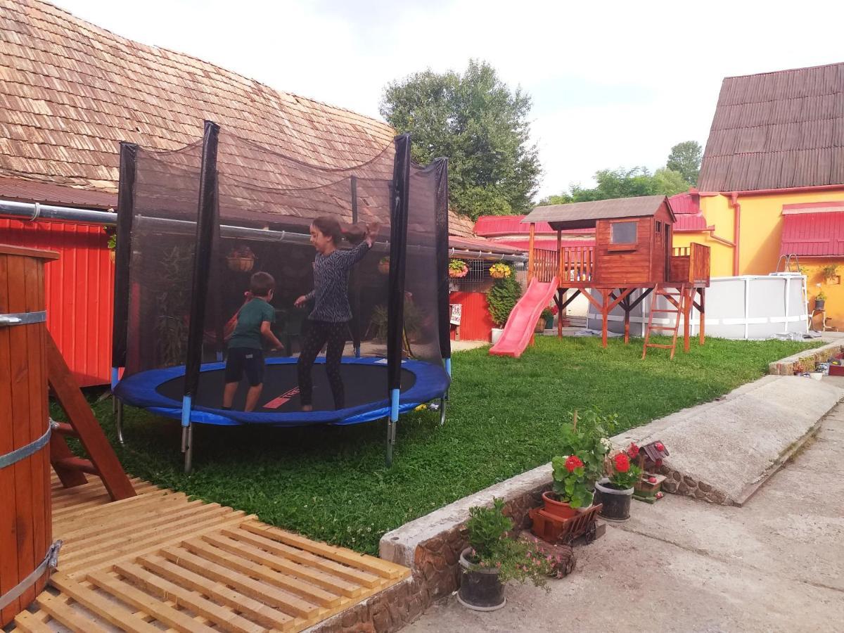 شقة Casa Florilor Barcut المظهر الخارجي الصورة