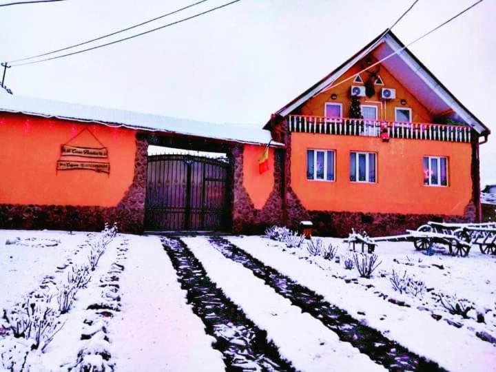 شقة Casa Florilor Barcut المظهر الخارجي الصورة