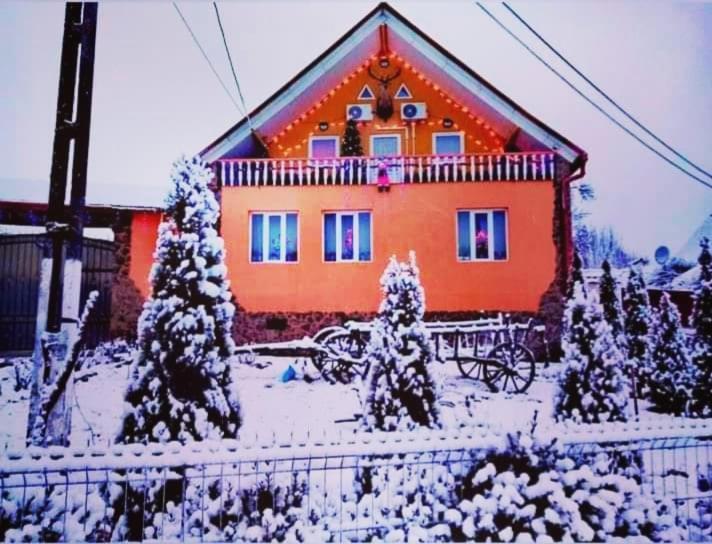 شقة Casa Florilor Barcut المظهر الخارجي الصورة