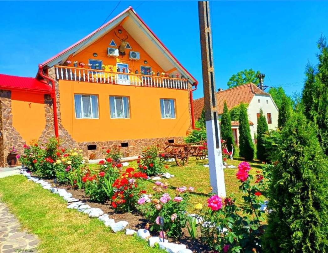 شقة Casa Florilor Barcut المظهر الخارجي الصورة