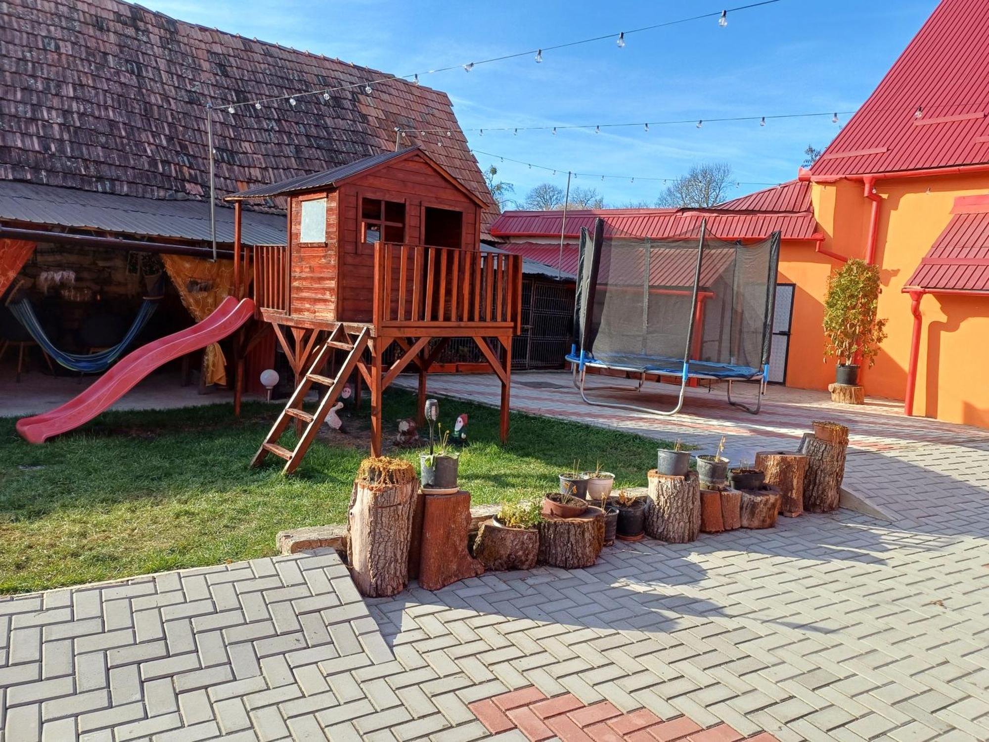 شقة Casa Florilor Barcut المظهر الخارجي الصورة